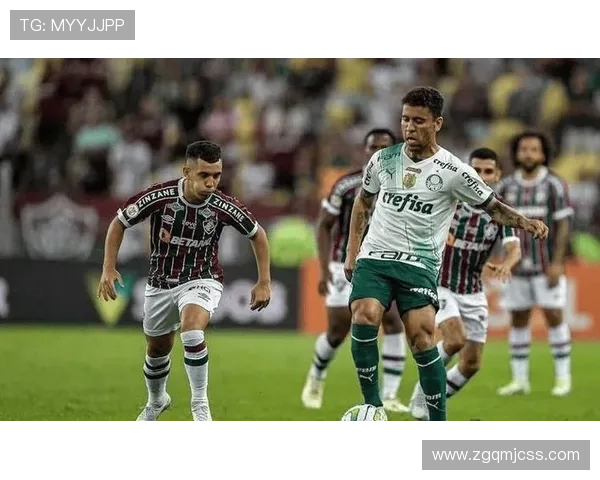 帕尔梅拉斯四球大逆转上演奇迹成功晋级解放者杯决赛